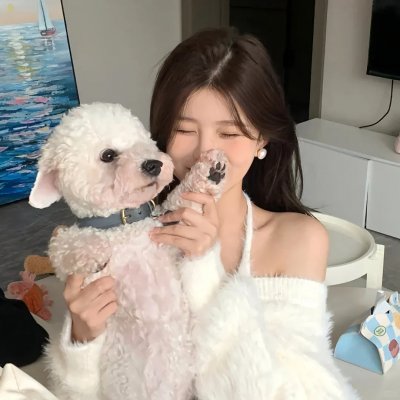 黑暗的森林